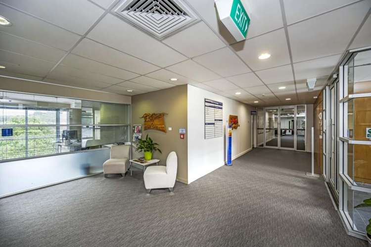 Lot 1, 229 Dairy Flat Highway Albany_10