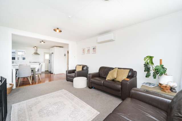 17 Alexander Street Awapuni_2