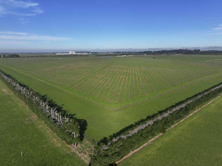 77 Bleak House Road Darfield_21