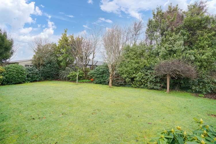 20 Vogel Street Waikiwi_15