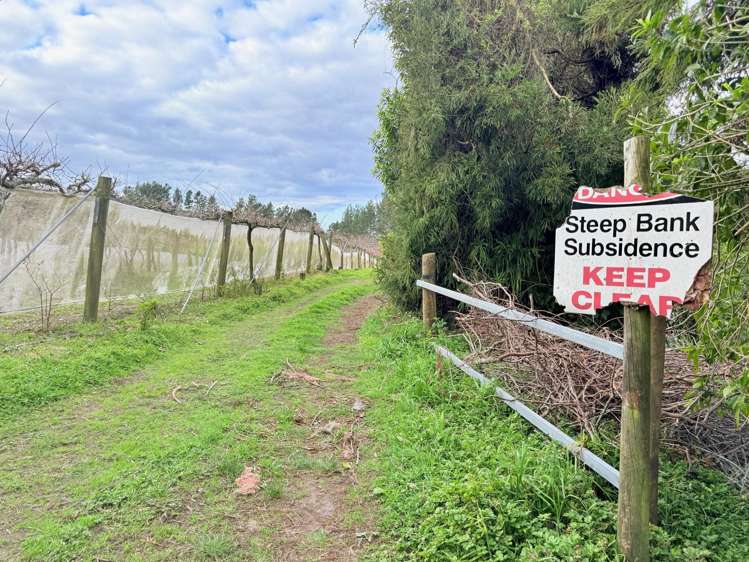 881B Te Matai Road Te Puke_13