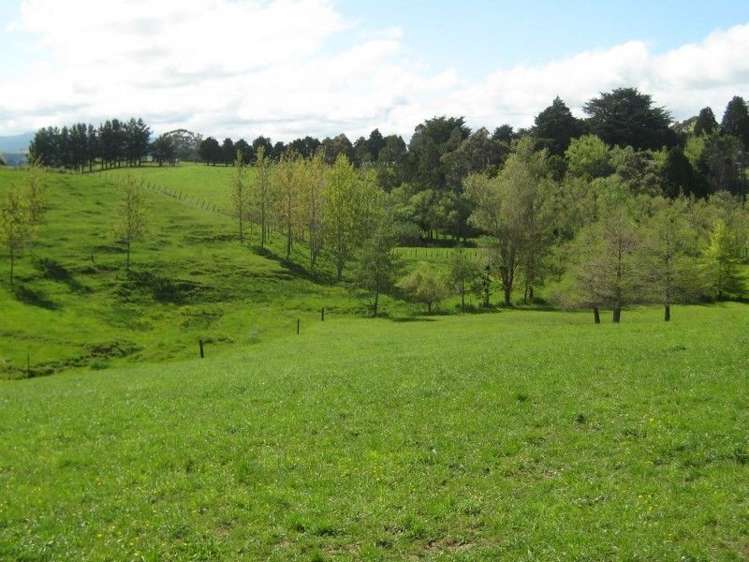 228 Smith Road Dannevirke_9