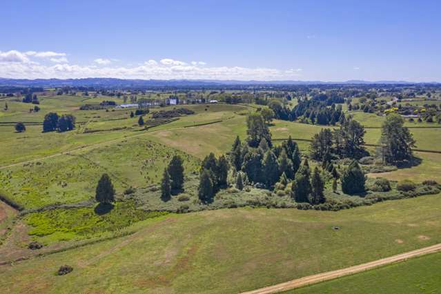 117 Meadway Road Ngahinapouri_1