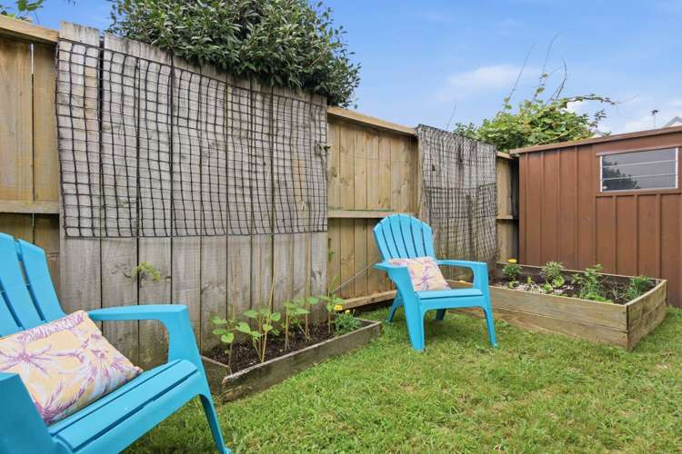 93B Fifteenth Avenue Tauranga Central_14