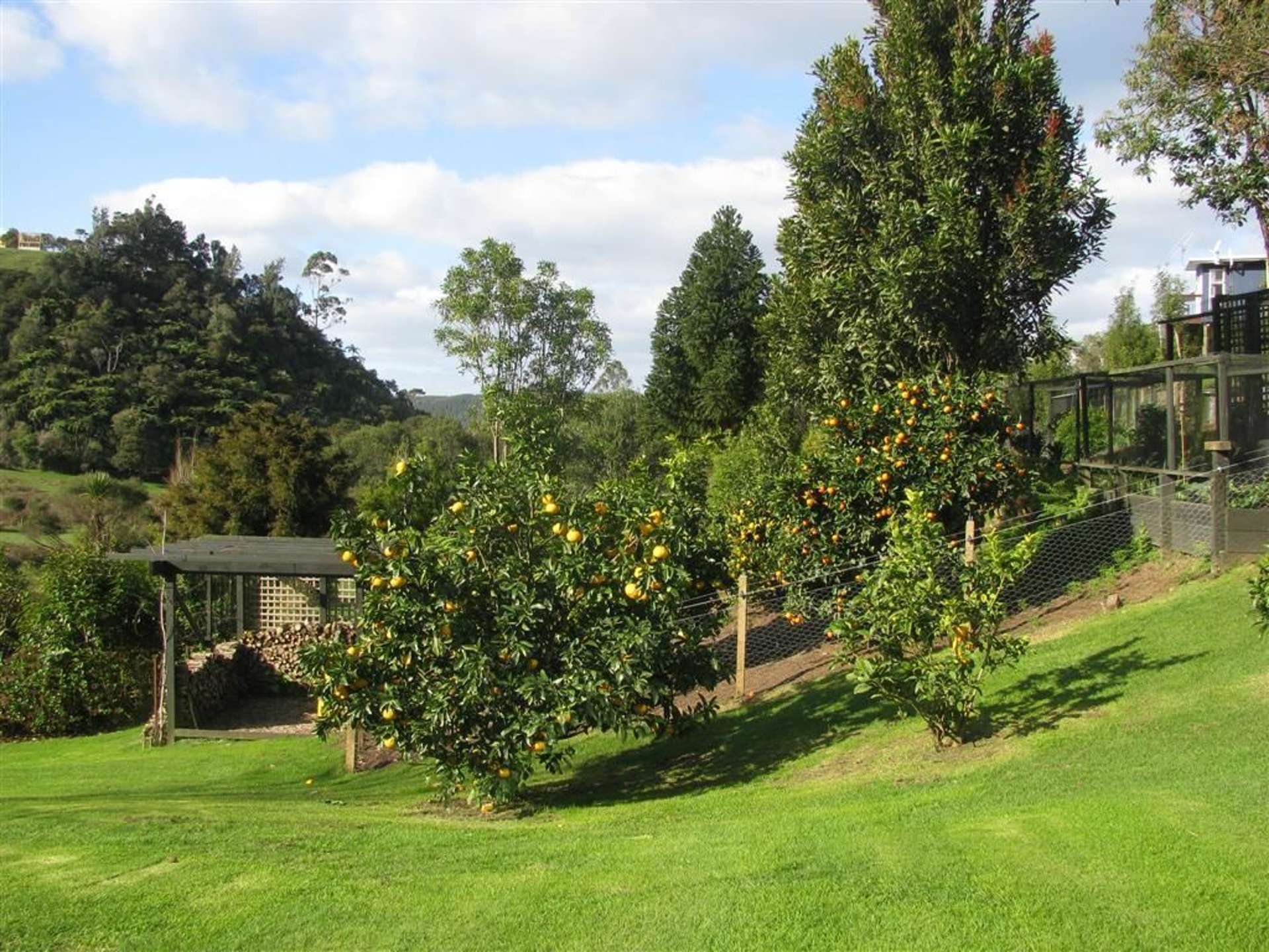 54 Herbert Drive Whangamata_0