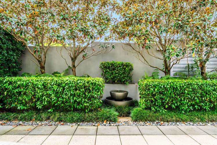 28 Walmsley Road Saint Heliers_8