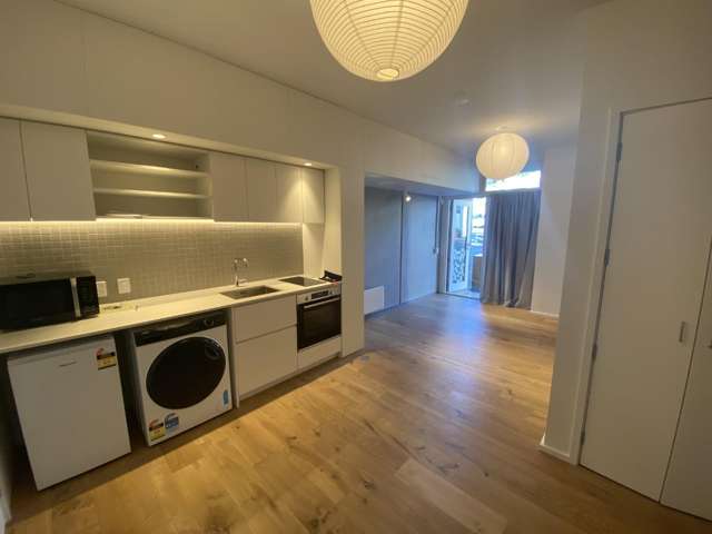 267B Willis Street 2185_1