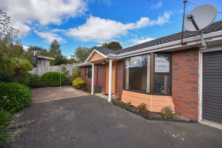 24b Shand Street Green Island_12