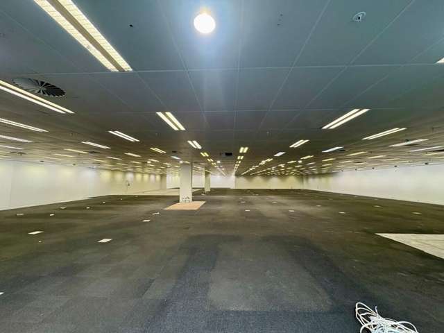 Tenancy 6/683 Cameron Road Tauranga Central_3