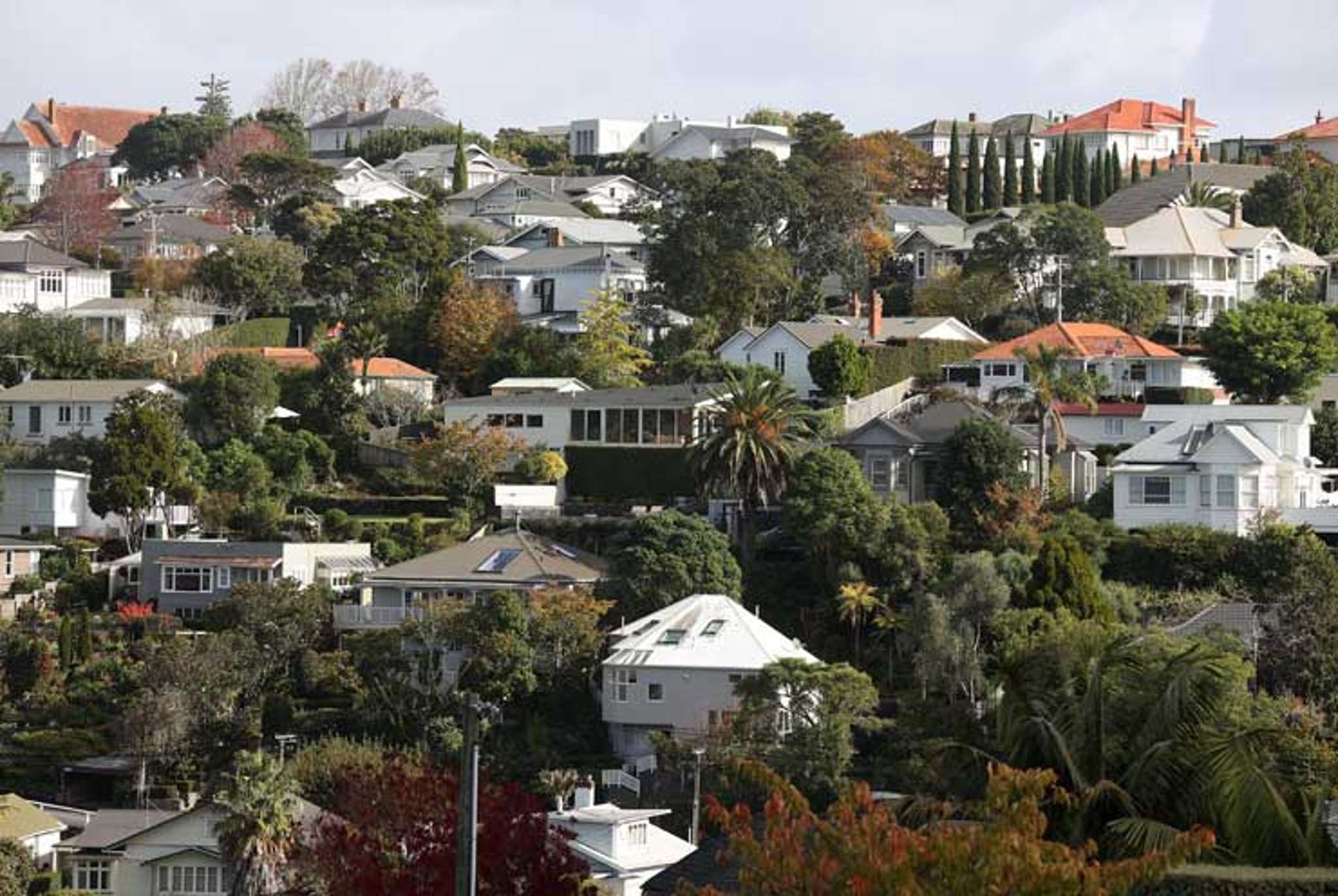 Auckland suburbs where sellers have made the most money