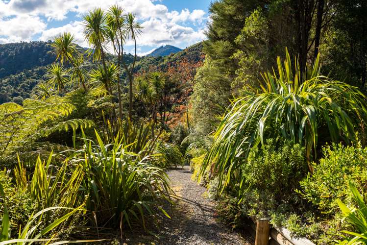 259 Queen Charlotte Drive Havelock_22