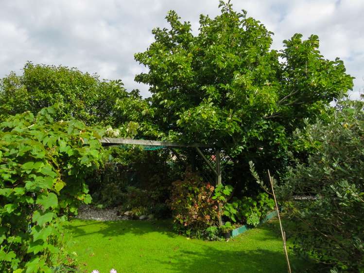 8 Watson Street Westport_21