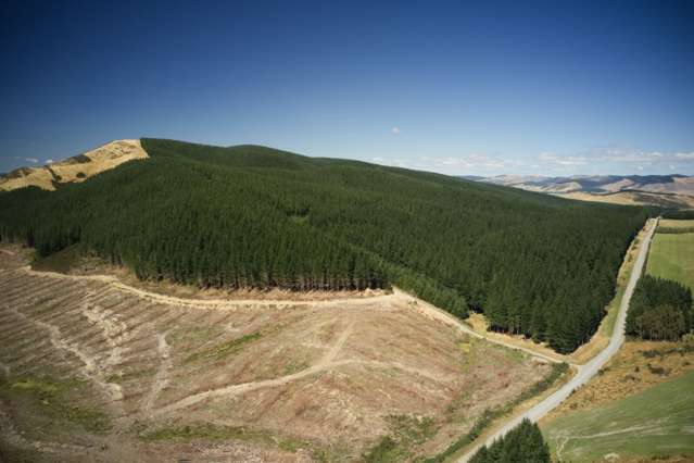 Southland Gisborne_4