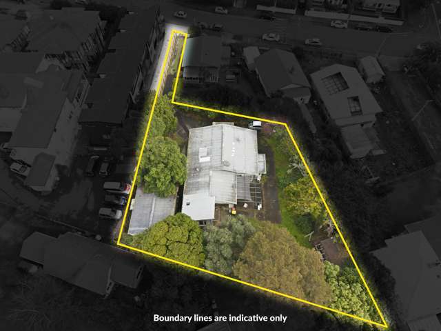 Mt Eden Goldmine: Rare 1,290sqm Site