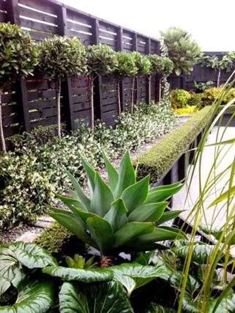 121 Rangatira Road Beach Haven_7