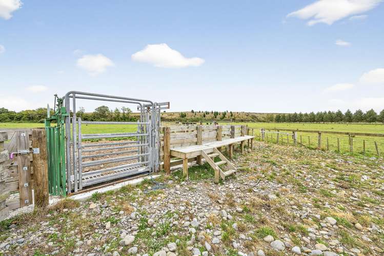 206 Almadale Road Cheltenham_12