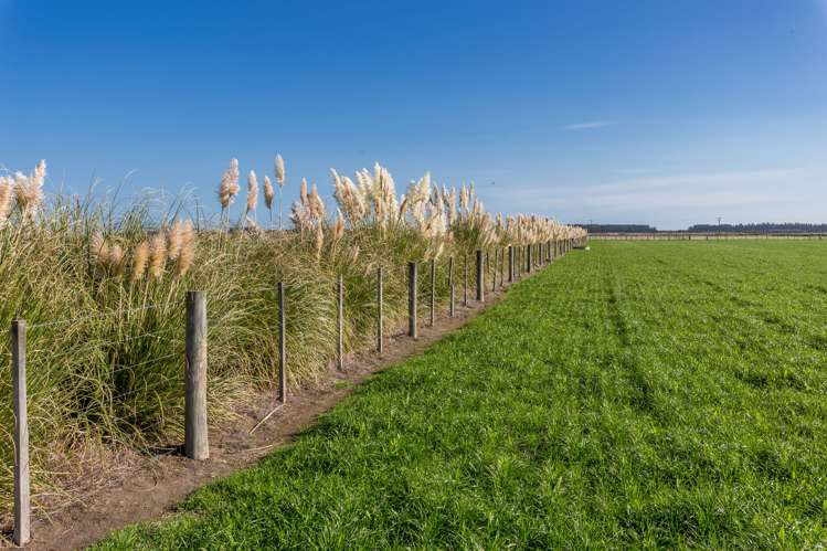 1926 Christchurch Akaroa Road Gebbies Valley_24