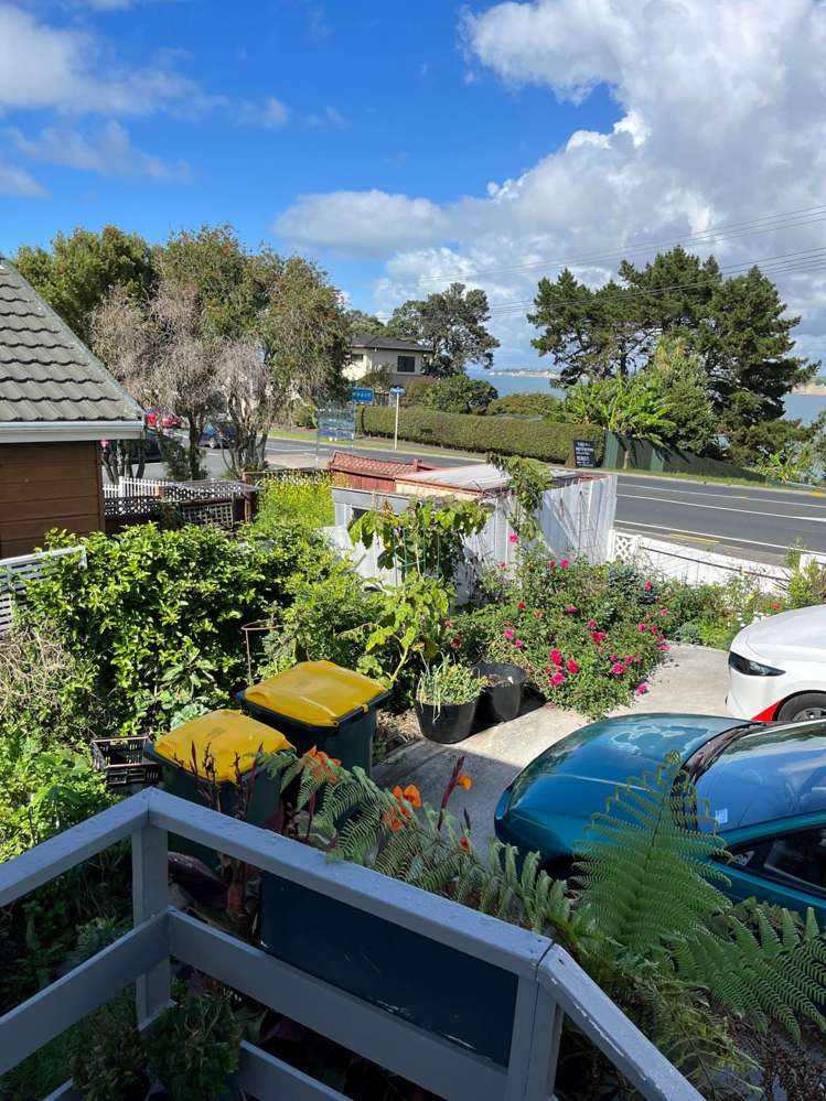 774 Whangaparaoa Road Manly_10