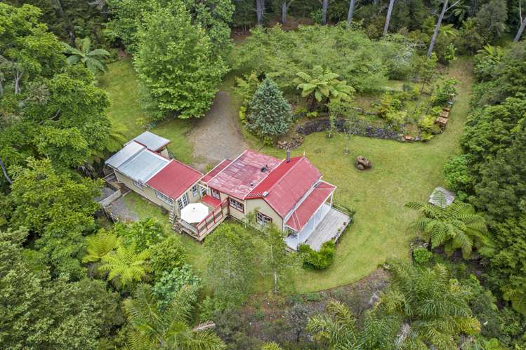 106 Trounson Park Road Dargaville Surrounds_13