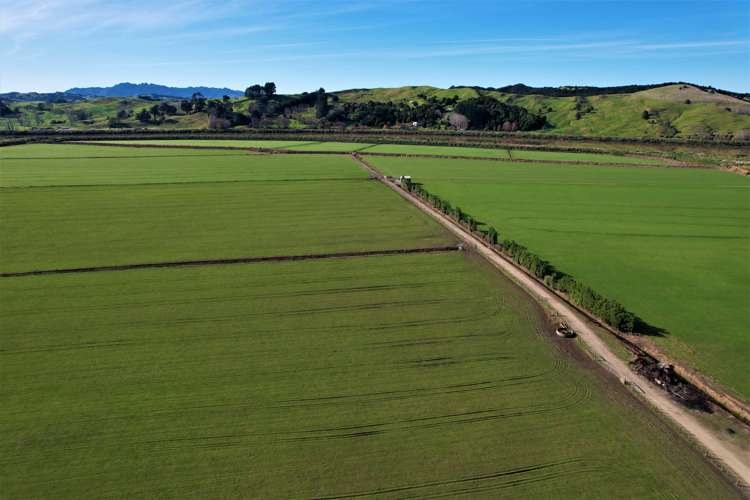 142 Awakino Point North Road Dargaville Surrounds_25