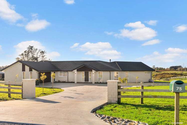 75 Waimanu Awa Road Runciman_2