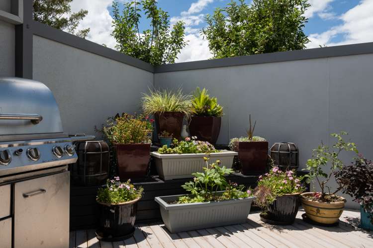 161a Clifford Street Whataupoko_12