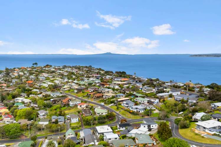 24B Homestead Road Manly_19