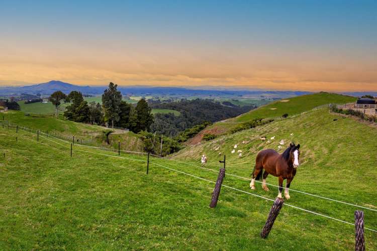 412 Pekanui Road Puketotara_43