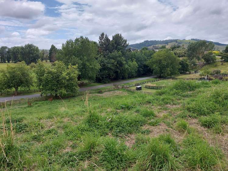 3/103 Maungakawa Road Cambridge_7