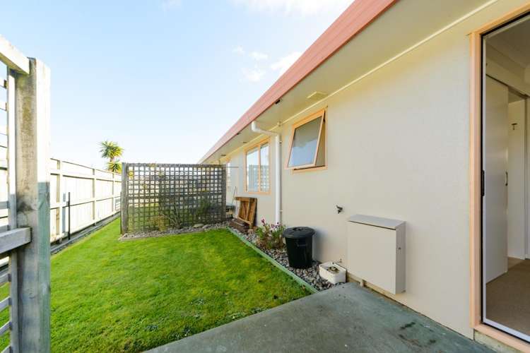 8 Foxtail Fern Kelvin Grove_17