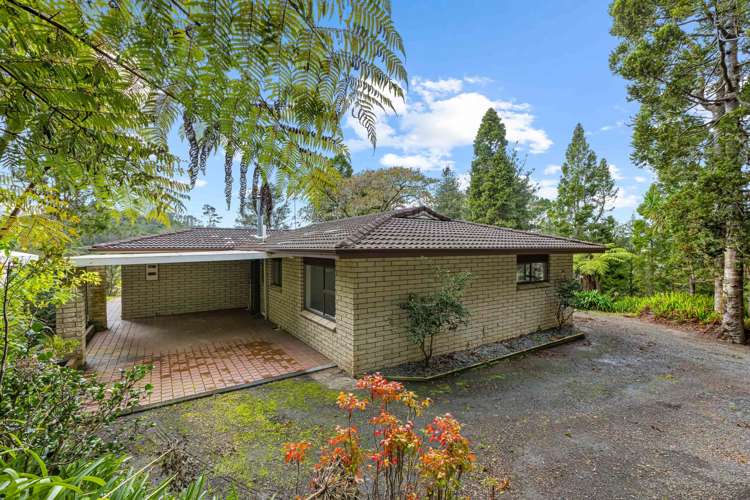 1287 Kaipara Coast Highway Kaukapakapa_8