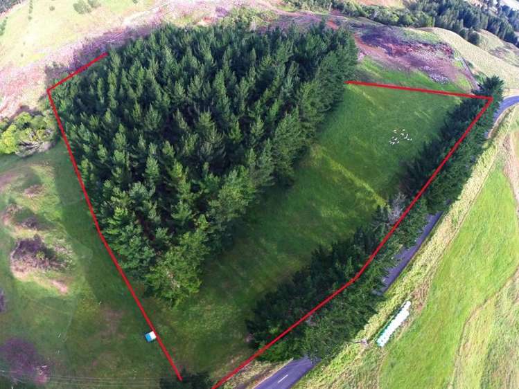 4349 Highway Pepepe_8