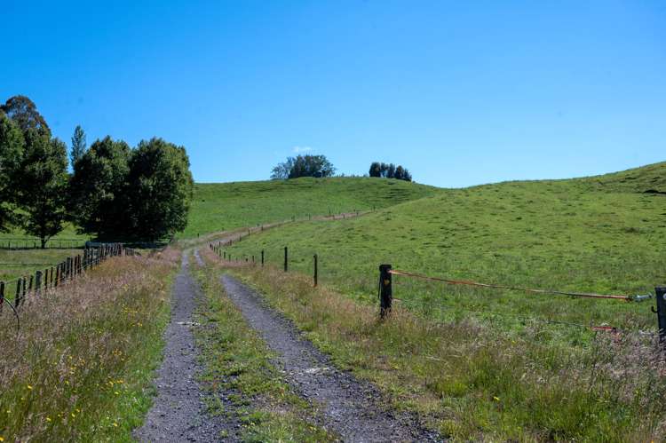 254 Oruanui Road Wairakei_18