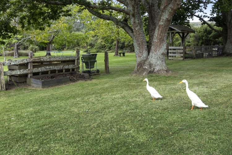 22 Bathgate Road Pakiri_27