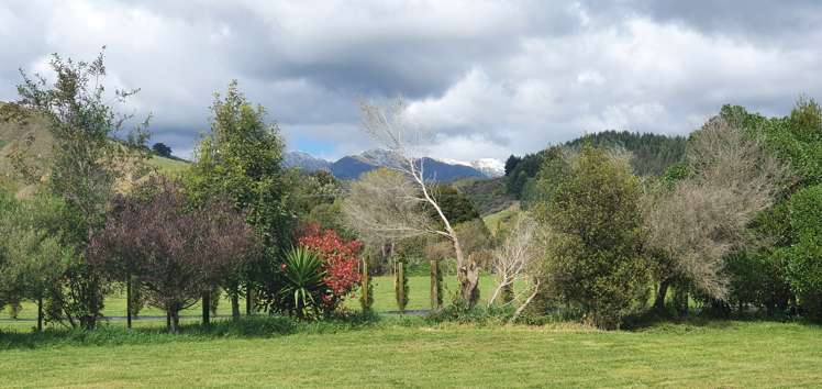 182 Gladstone Road Levin_19