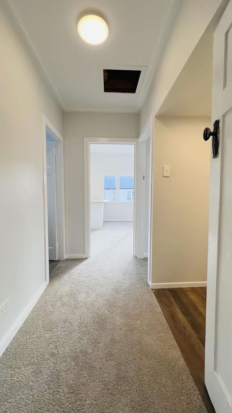 1297 Rings Road Coromandel_10