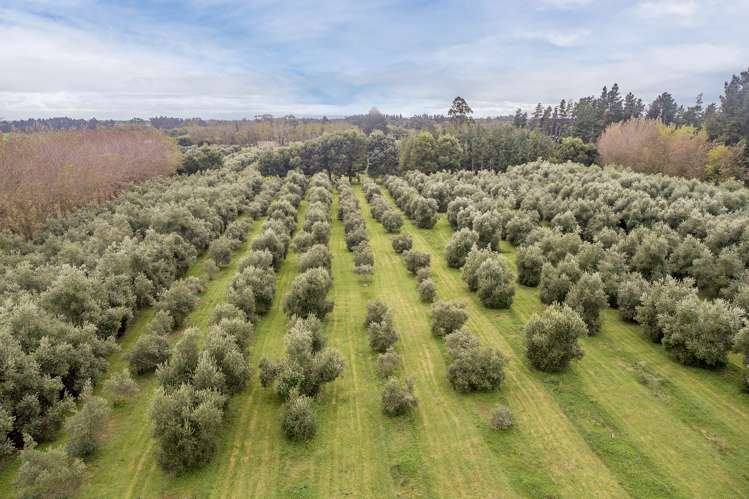 62 Harrs Road Swannanoa_28