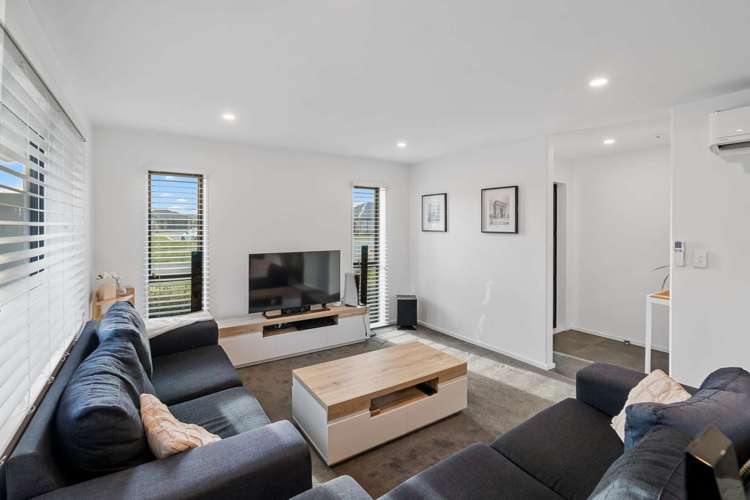 20 Pallid Green Rolleston_6