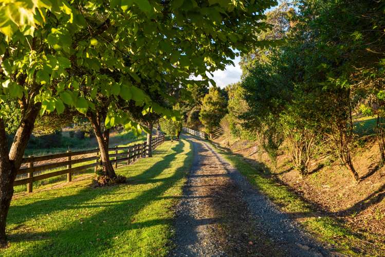 896 Haruru Road Wainui_36