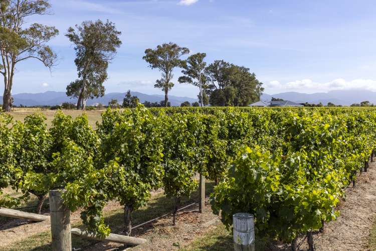 29 Hardings Road Riverlands_38