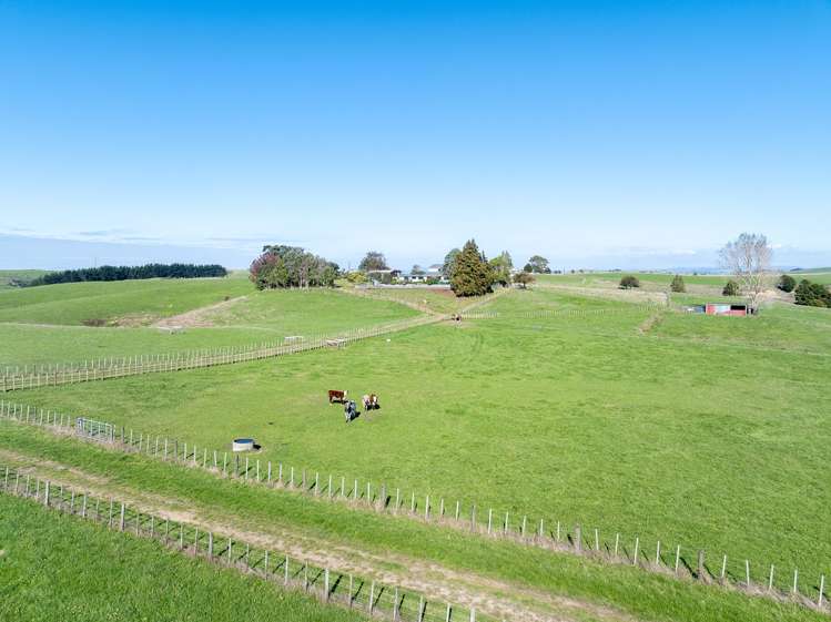 485 Chapman Road Pukekawa_34