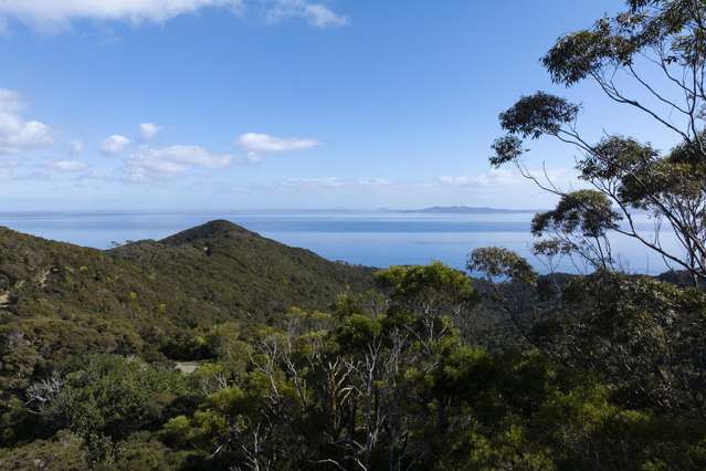 Spectacular Sea Views, Bush Clad, Priced to Sell