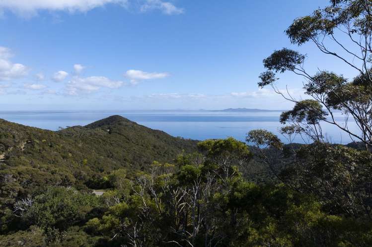 LOT 2 303 Waiaua Road_0