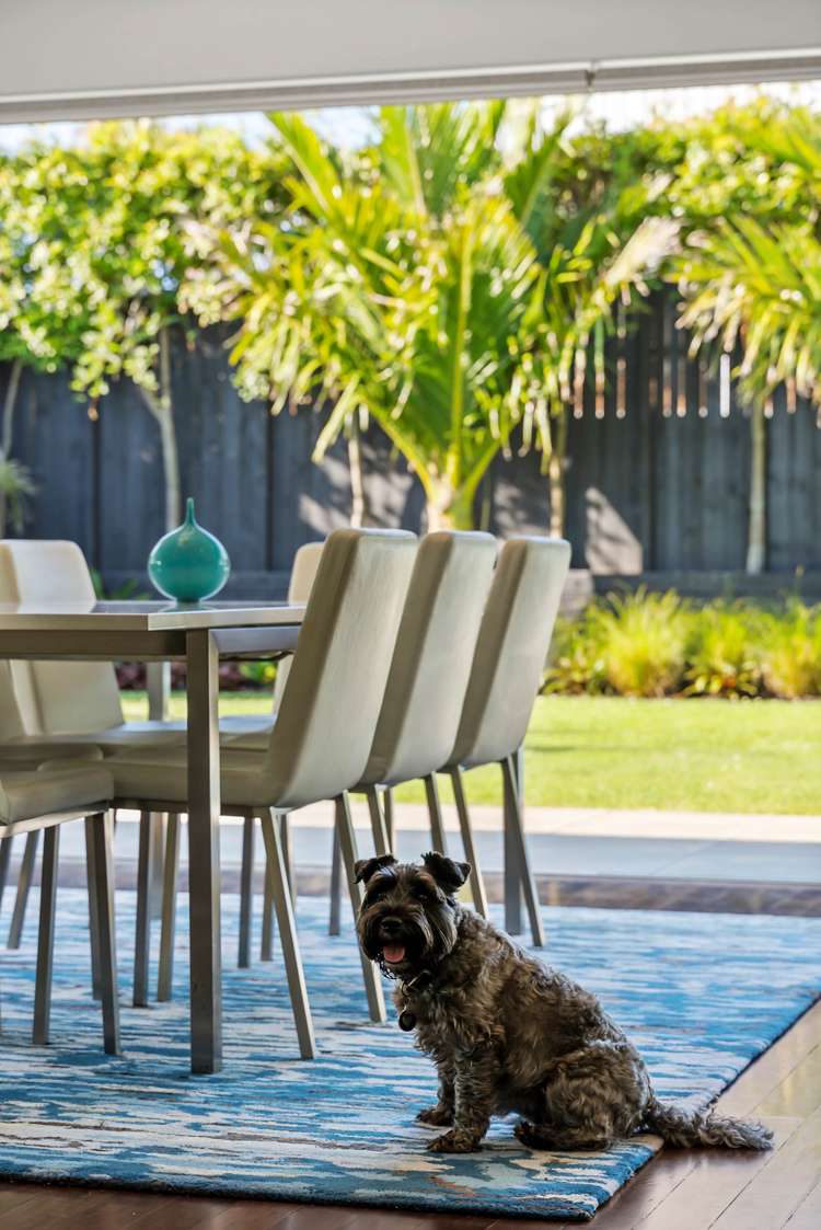 54 Edmund Street Saint Heliers_23