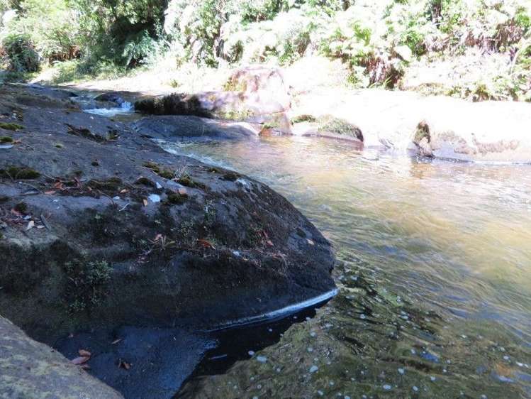 764 Work Road Whakamarama_4