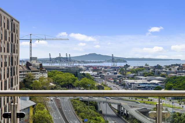 38a Whitaker Place Grafton_1