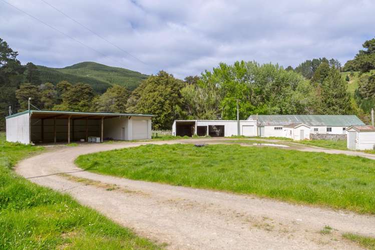 937 Kaiwhata Road Te Wharau_5