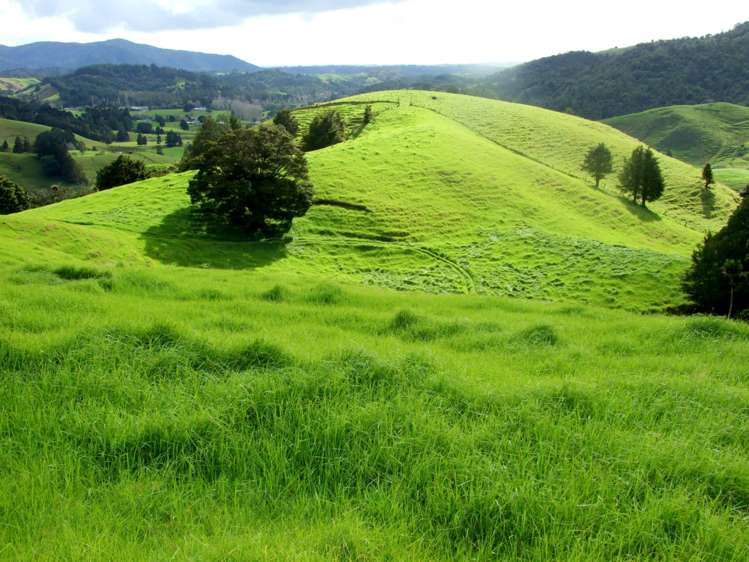 185 Takahue Saddle Road Takahue_10