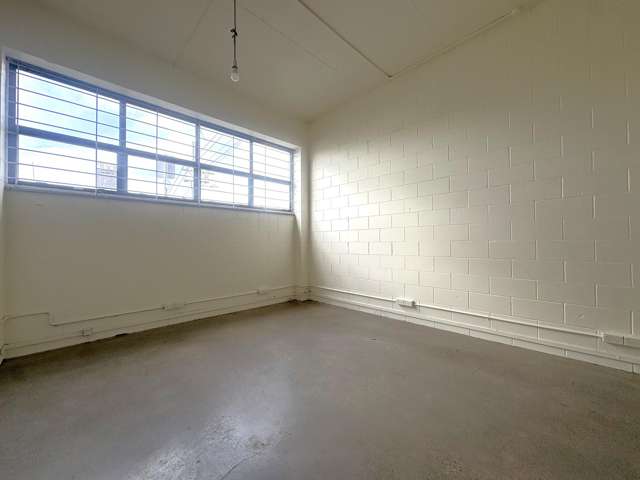 6 Kirk Street Grey Lynn_3