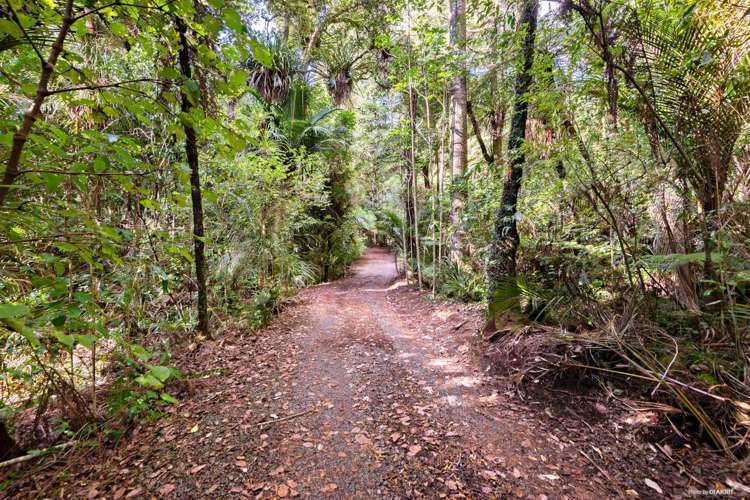 396 Ponga Road Opaheke_13